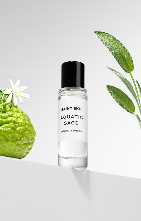 AQUATIC SAGE