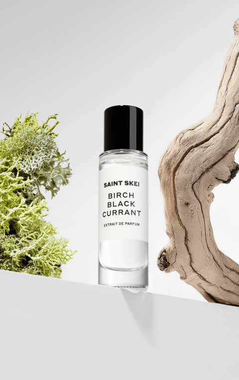BIRCH BLACK CURRANT