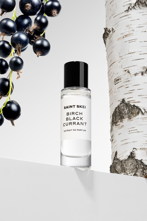 BIRCH BLACK CURRANT