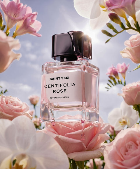 CENTIFOLIA ROSE