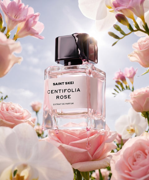 CENTIFOLIA ROSE
