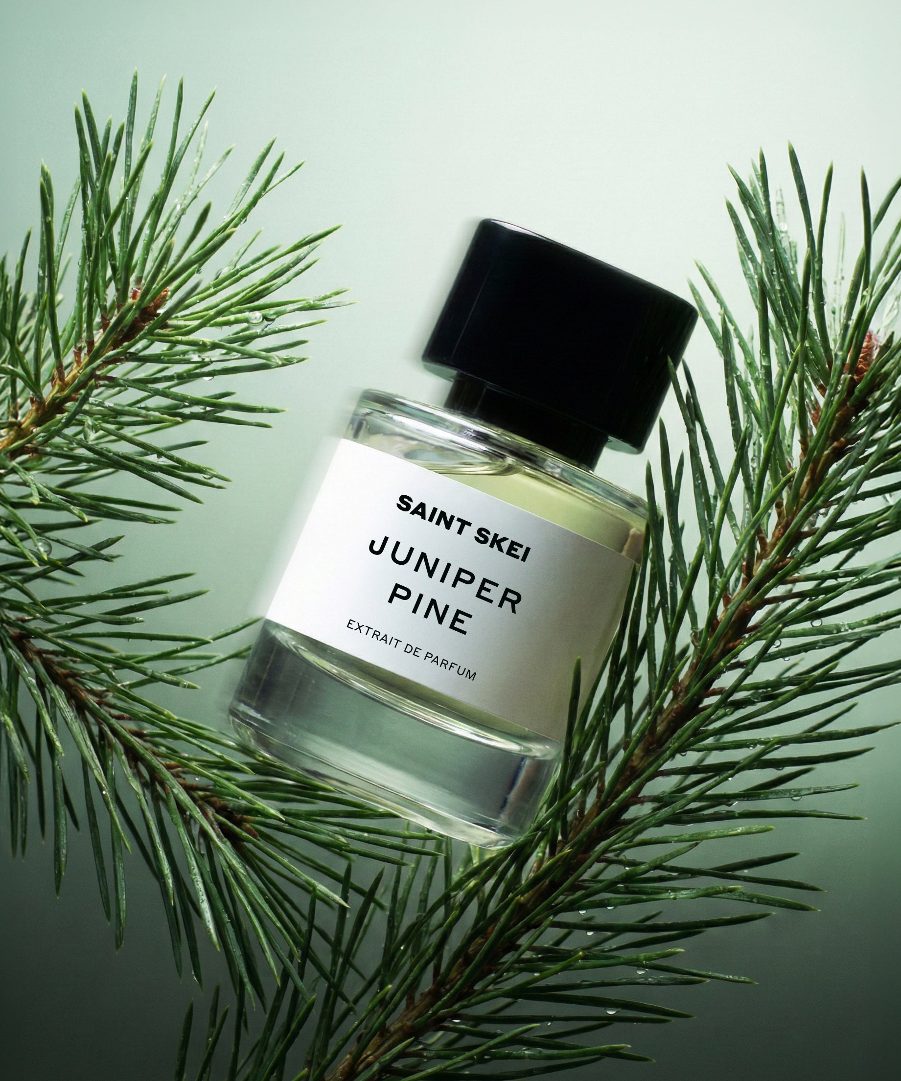 JUNIPER PINE – SAINT SKEI