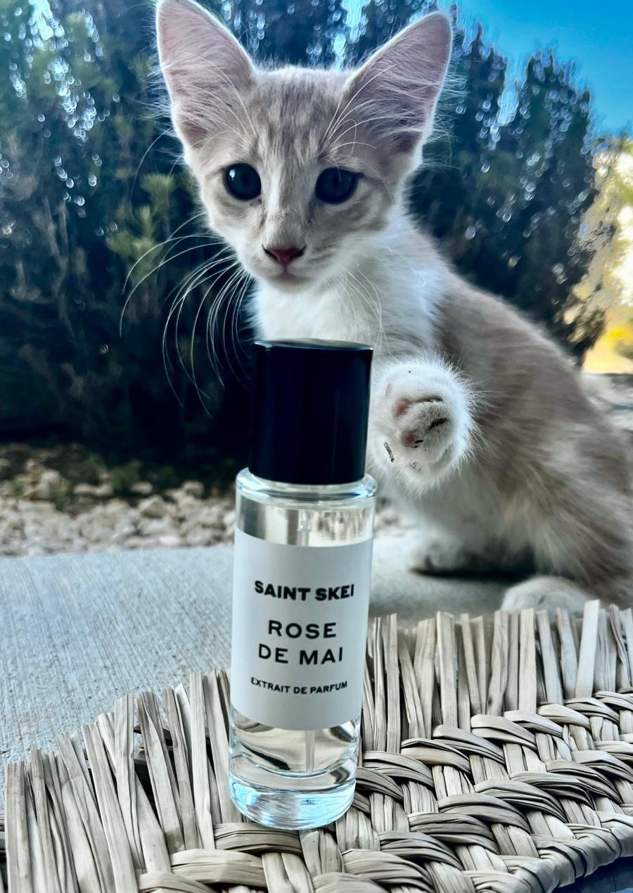 Parfum Savage Rose Perfume Oil Anine Bing Savage Rose Perfume Oil